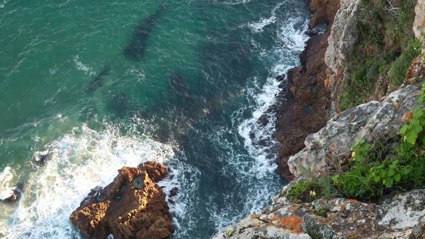 Aerial view from a viewpoint showing waves crashing onto rocks in Knysna, South Africa. Captured in crisp 4K with a static shot, showcasing the rugged coastline and powerful ocean movement.