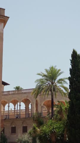Lush vegetation frames the majestic Palma Cathedral in Palma de Mallorca, Spain