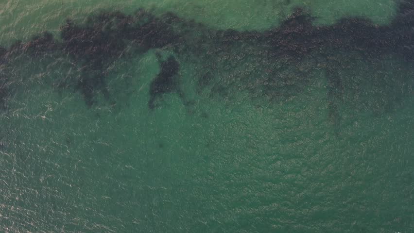 Aerial top down of wrecked boat Mediterranean Sea view from shipwreck near Thessaloniki Greece