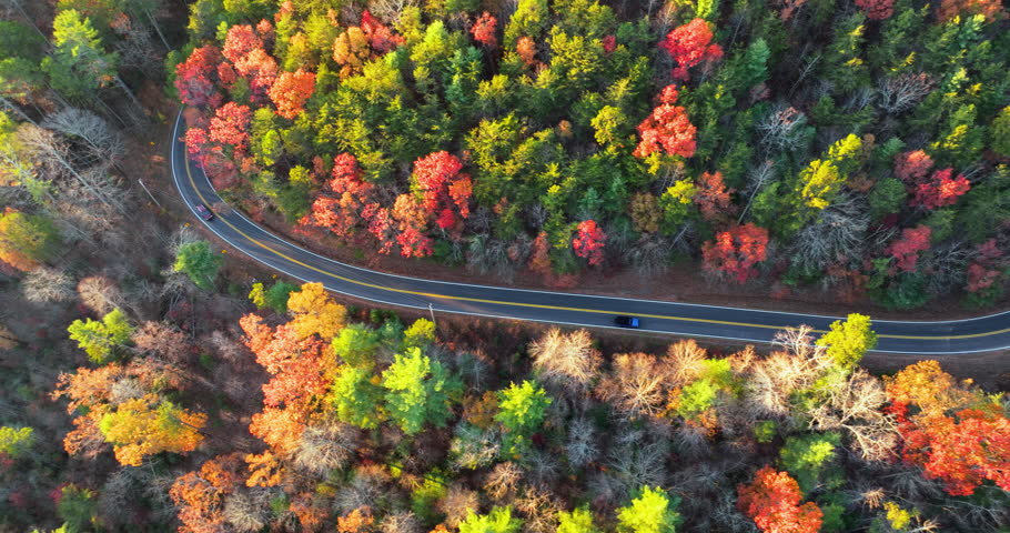 Blue Ridge Parkway in autumn. Mountain pass road between dense woods in seasonal colors in North Carolina.