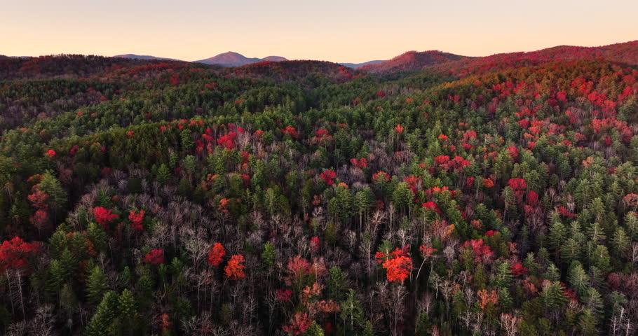 Fall season in Appalachian mountains with dense forest canopies. Colorful woodland landscape in autumn.
