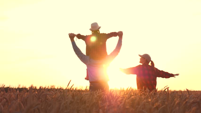 concept happy family. father carries child shoulders. family walk wheat field. Woman, man, child. family walk open air. dream, airplane pilot. My childhood dream fly. Silhouette happy family wheat