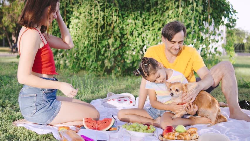 Family enjoys a sunny picnic in a park with food, drinks, and a playful chihuahua dog, creating lasting memories together