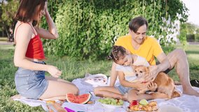 Family enjoys a sunny picnic in a park with food, drinks, and a playful chihuahua dog, creating lasting memories together - Powered by Shutterstock - Get 15% off with code: PIKWIZARD15