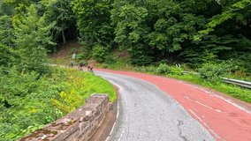 A group of cyclists ascends a winding rural road bordered by dense green forest under overcast daylight, captured in a smooth, wide static shot - Powered by Shutterstock - Get 15% off with code: PIKWIZARD15