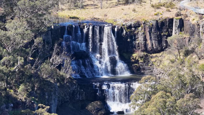 Drone camera smoothly descends from Ebor Waterfall, following the flowing river through a lush, sunlit forested gorge in New South Wales, Australia