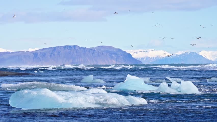 Iceland’s Diamond Beach: Icebergs, Birds and Mountain Backdrop