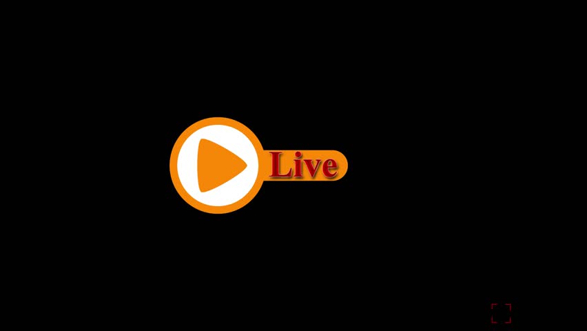 Shutterstock Video