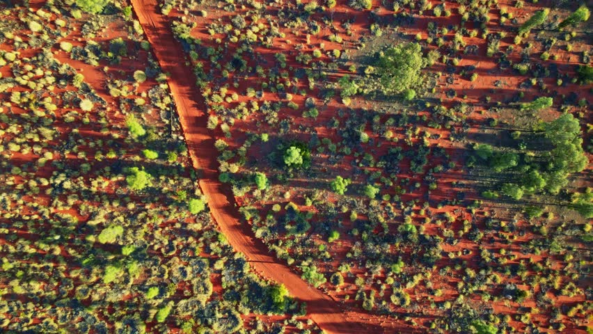 Aerial view of a vibrant red dirt road cutting through the landscape with sparse green vegetation, Ayers Rock, Northern Territory, Australia.