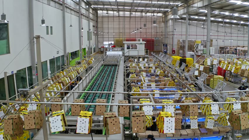 Wide view inside a packaging factory hall, showcasing machines working in sync.