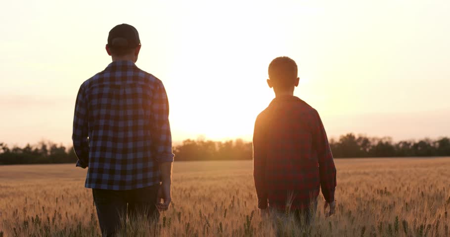 Sustainable farming in wheat at dusk shows eco methods. Silhouette father and son inspect soil. Sustainable techniques improve crop resilience. Sustainable agriculture shines at sunset.