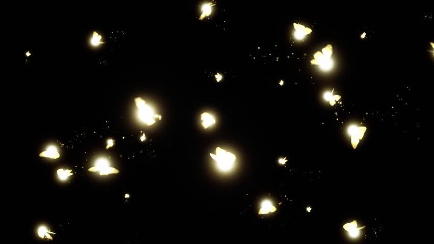 Magic Fantasy Fireflies - VFX Overlay