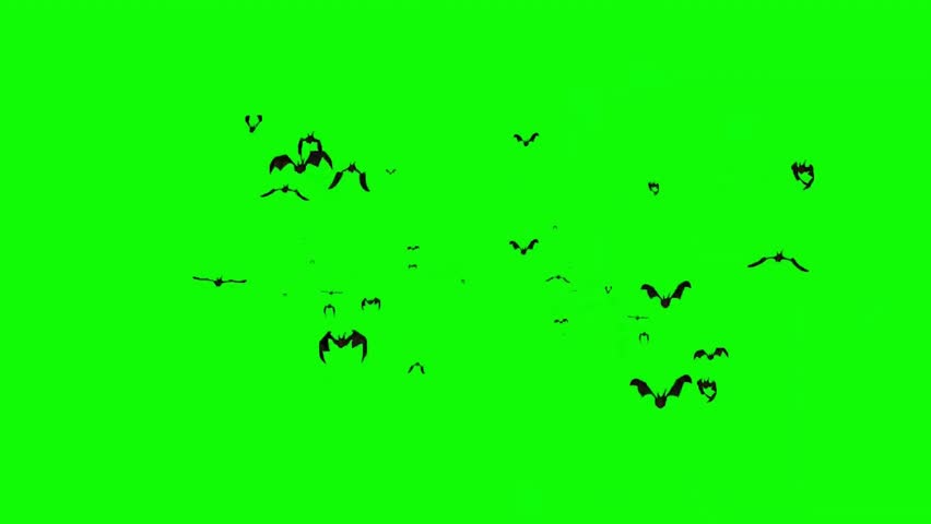 Terrifying Swarm of 3D Bats Flies Straight at the Camera Green Screen Animation You Have to See