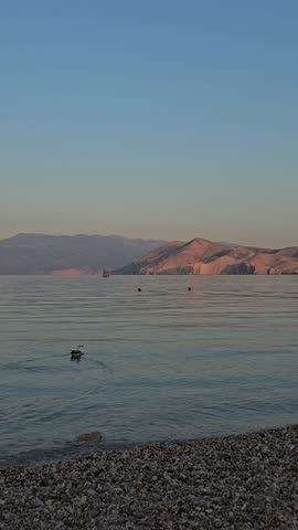Baska Beach and Coastline With Clear Turquoise Water, Marina Boats, City Street, Sunny Summer Sunset  View on Krk Island, Croatia Adriatic Sea, Vela Plaza Beach, Mountains and Campsite Cityscape