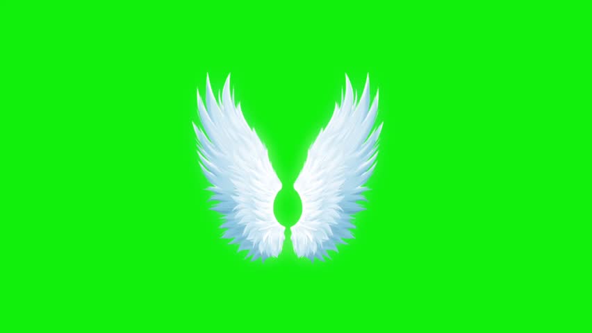 Anger flying wings animation video green screen.