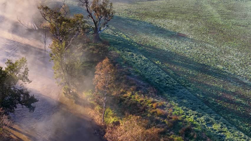Drone glides above a frosty, fog-shrouded field with scattered trees in Tamworth, Australia. Early morning sunlight casts long shadows and highlights mist movement