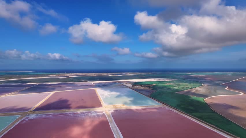 Aerial view of vibrant pink and green salt pans under a bright blue sky with fluffy white clouds, Bonaire, Bonaire, Caribbean Netherlands.