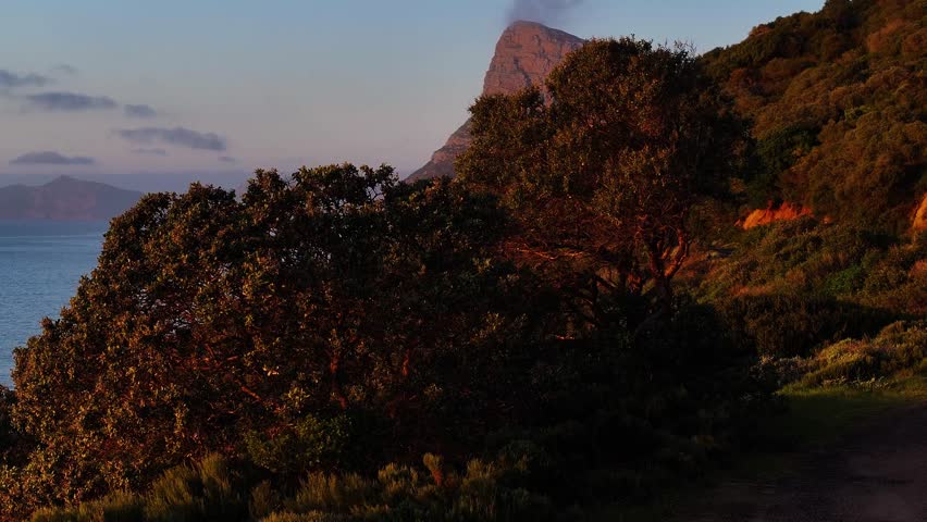 Aerial view of mountains covered in dense vegetation meet the blue ocean under a soft sky, creating a serene landscape, Cape Town, Western Cape, South Africa.