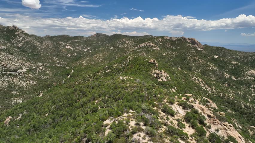 Aerial view of winding roads, a scenic route through the Santa Catalina Mountains, a landscape of contrasting green vegetation and rocky terrain, Summerhaven, Arizona, United States.