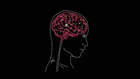 A human brain illuminated with a soft pink glow, set against a dark background, creating a striking and futuristic visual effect.
 - Powered by Shutterstock - Get 15% off with code: PIKWIZARD15