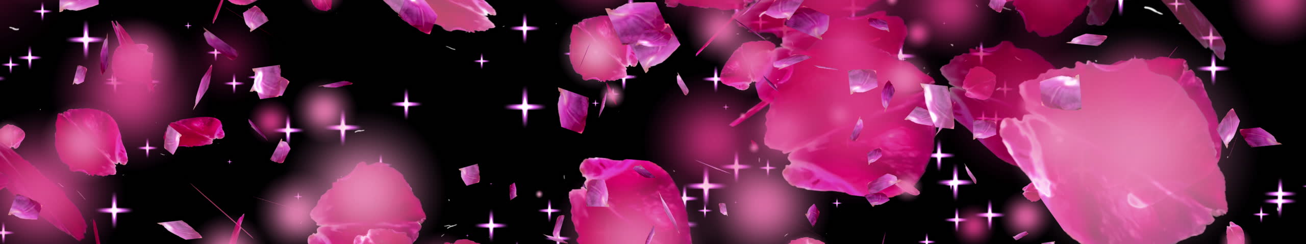 Clean ultrawide petals on pure black, elegant cherry blossom fall with minimal, isolated look for titles and overlays