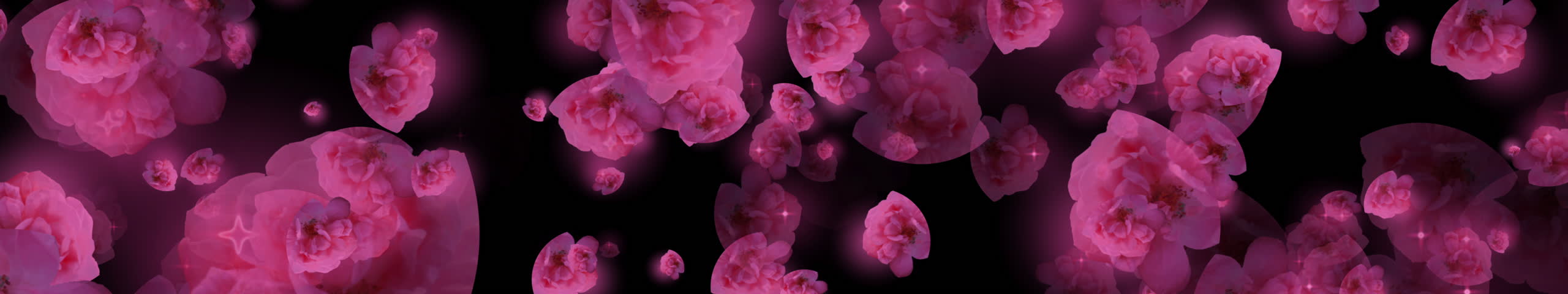 Elegant sakura and rose flowers drifting forward in ultrawide view, black background, gentle motion with romantic and serene floral atmosphere