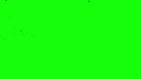 A flock of black birds flying bottom left to up right quickly, a group of pigeons chroma key green screen. Silhouettes of Migrating Birds in motion in the sky. Crows or Swallows. For compositing VFX - Powered by Shutterstock - Get 15% off with code: PIKWIZARD15