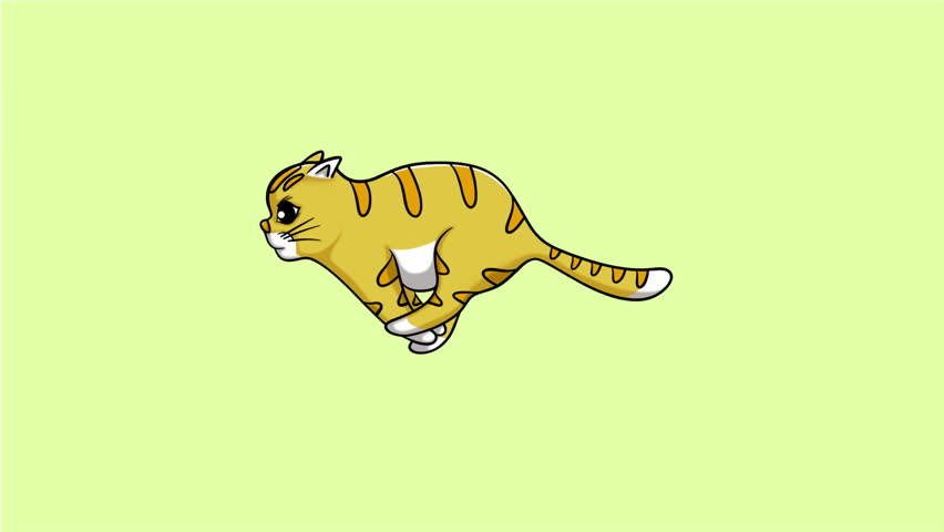 Cat running, loop animation, motion graphics isolated on green 