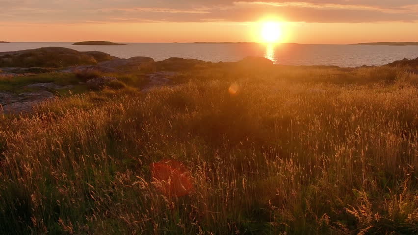 Sunset over grass and sea in Sweden highlights nature’s beauty