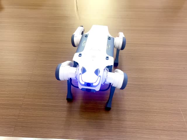 A robot dog walking and playing around people at a technology trade show. Concept of robotics engineering innovation. 