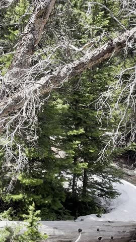 Chicago Lakes, Mount Blue Sky, Colorado, hiking, mountain hike, alpine lake, alpine hiking, mountain scenery, Rocky Mountains, high altitude, wilderness, nature, scenic view, landscape, mountain lands