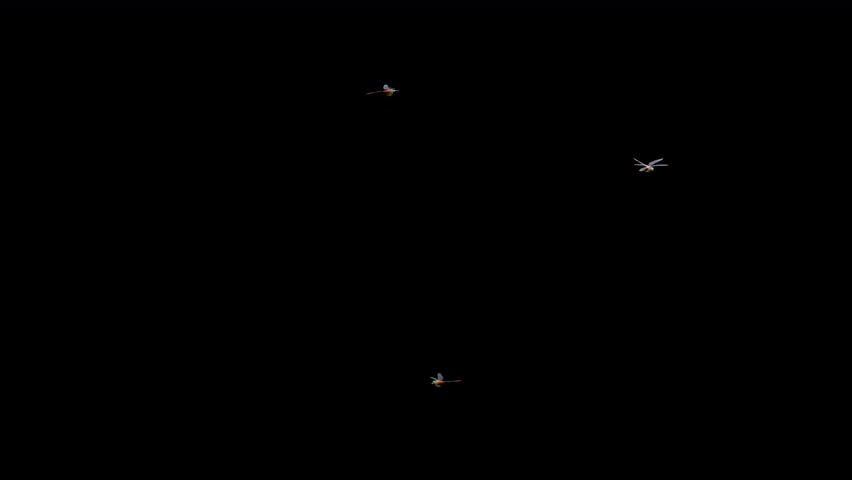 3 Rainbow Dragonflies - Flying Around Screen Loop - Alpha Channel - Realistic naturalistic Ultra HD 4K  3D animation isolated on transparent background