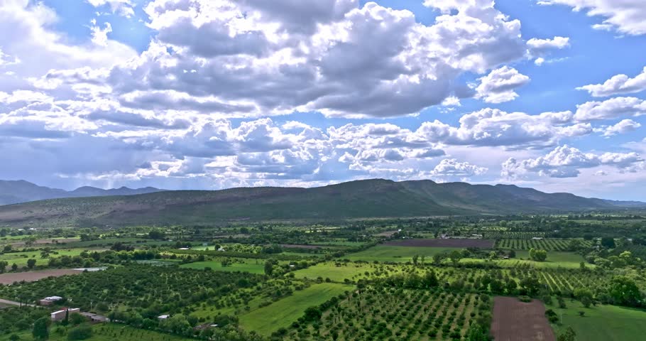 Apple orchards in the Sierra de Durango during a storm