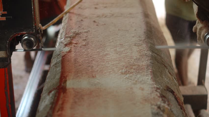 Portable Saw Mill Timber Cutting Saw Machine at Work
