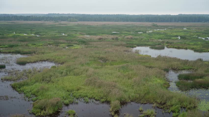 Nearly overgrown lake Puurijarvi in Finland, panning shot