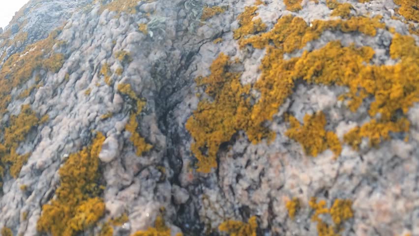 Rocky shoreline and deep blue ocean under a clear sky. Sea and coastline idea. Nature and landscape concept.