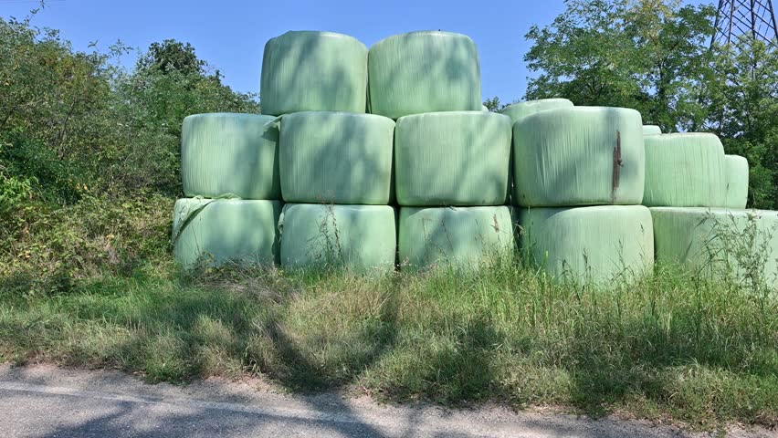Hay bales in an agricultural field set in a summer countryside landscape. Rural scene related to farming, harvest, and country life
