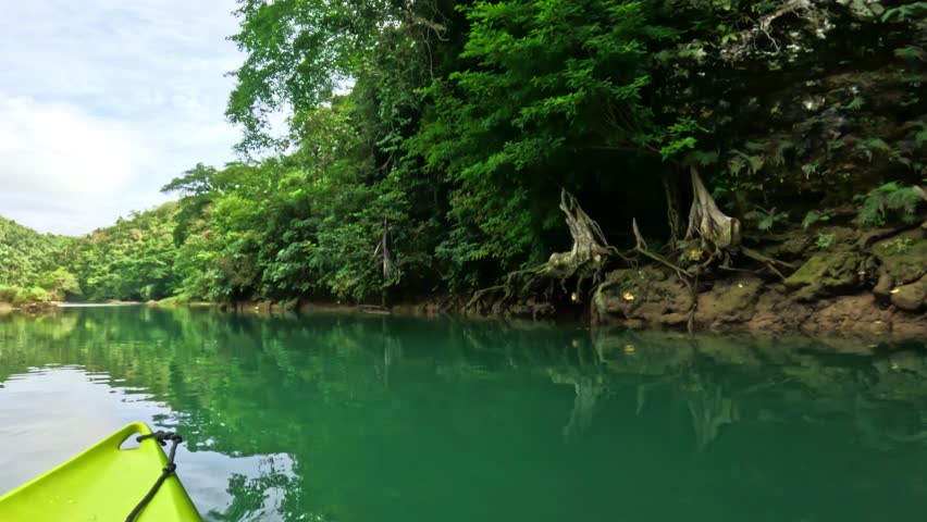 Kayak gliding past lush forested riverbank on Lobok river, Bohol island, Philippines