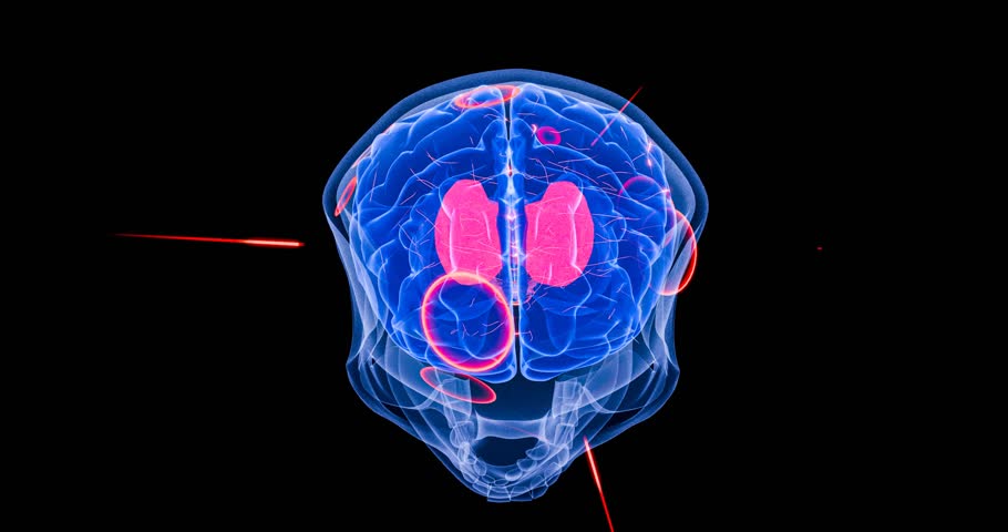 Blue brain with vivid neural pathways and synaptic impulses, portraying cognitive neuroscience, decision-making and mental performance – 3D Rendering
