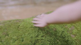 Close-up of a child’s hand feeling soft moss on a rock. A peaceful, emotional moment capturing sensory learning, forest exploration, and the beauty of slowing down in nature. - Powered by Shutterstock - Get 15% off with code: PIKWIZARD15