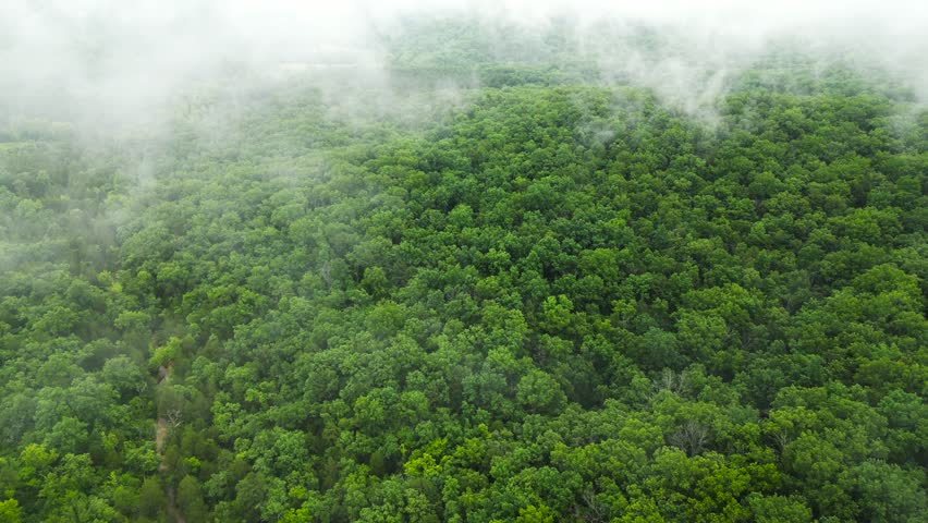 A drone shot of a misty Ozark Mountain landscape in southern Missouri. The low-lying clouds create a beautifully scenic forest.