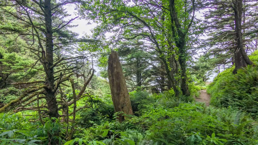 Footage shows Ecola State Park in Oregon, with sweeping views of the Pacific Ocean, forest trails, and rocky headlands between Ecola Point and Crescent Beach.