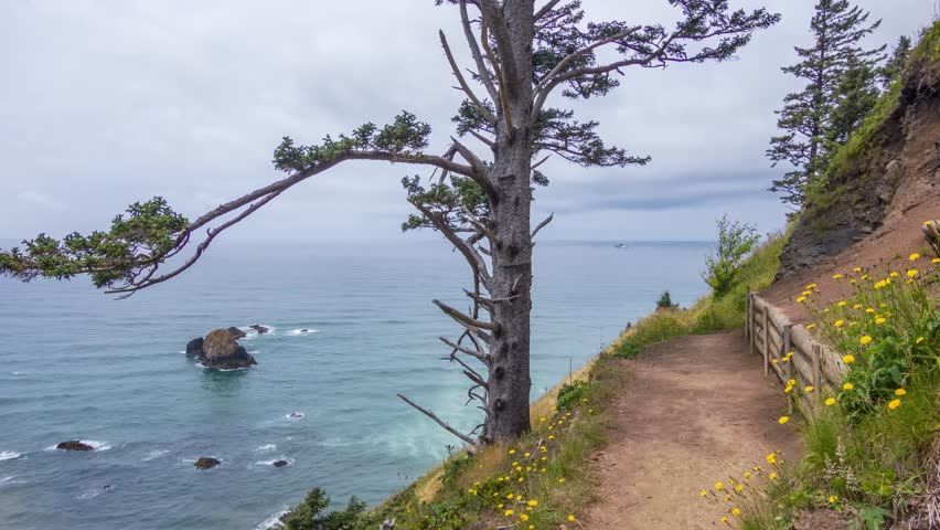 The Footage shows Ecola State Park in Oregon, known for its scenic views of the Pacific Ocean, lush forests, and hiking trails. Ecola Point to Crescent Beach , Coastal Oregon.
