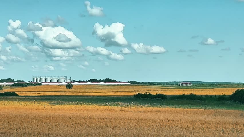 A large field with a wheat crop and several trees in the background. The sky is mostly clear, with few clouds. View from the car while driving.