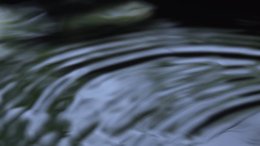 water surface close-up, dark ripples on the water surface caused by a droplet, creating concentric circles and gentle waves, natural calm water motion ideal for background or meditation themes