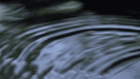 water surface close-up, dark ripples on the water surface caused by a droplet, creating concentric circles and gentle waves, natural calm water motion ideal for background or meditation themes - Powered by Shutterstock - Get 15% off with code: PIKWIZARD15