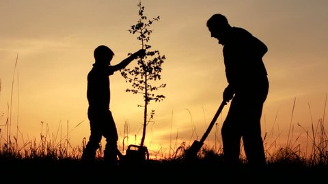 Father and son planting a tree. Sunrise. Silhouette. Spring. Stockvideó