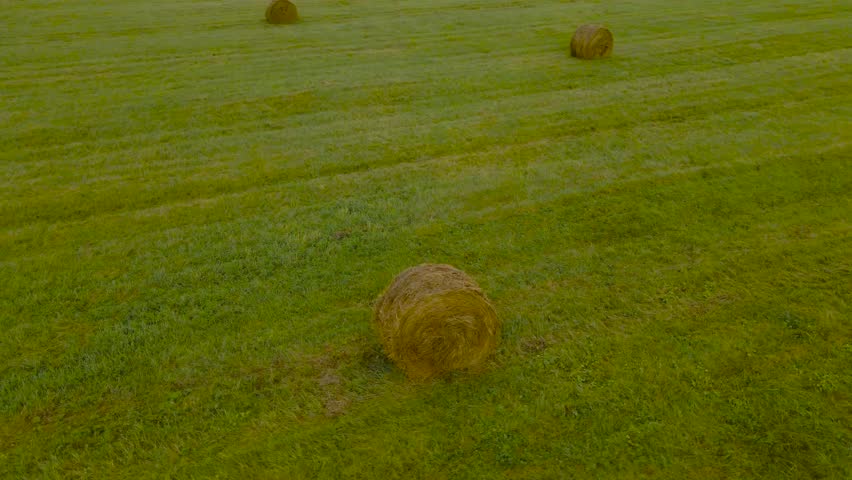 Aerial drone footage orbiting and flying around a frehsly made silage wheat hay bale roll that is on a grassy green and cloudy farm field land, other hay bales are visible in the background as well.