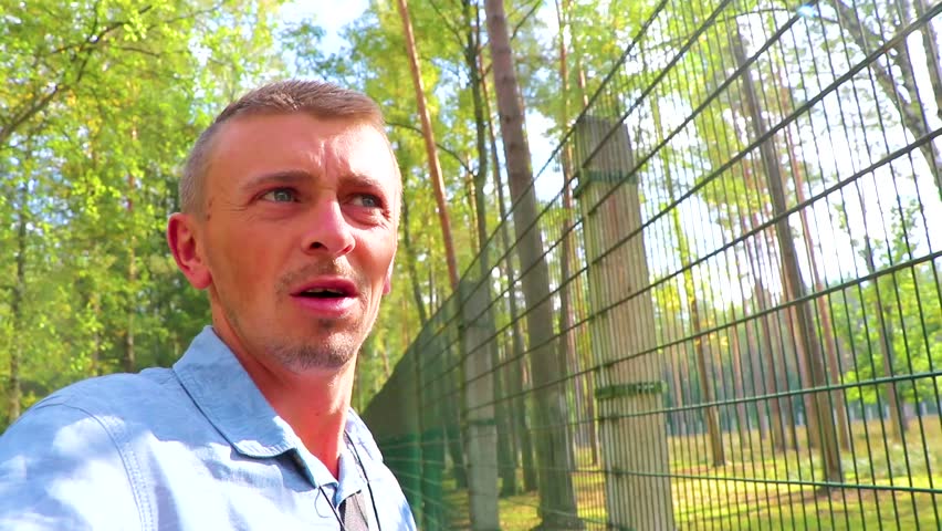Tourist man walking on path in the zoo forest and looking through the enclosure fence in Bielaviezskaja Pusca National Park Bialowieza Forest Kamyanyets District Brest Region Belarus.