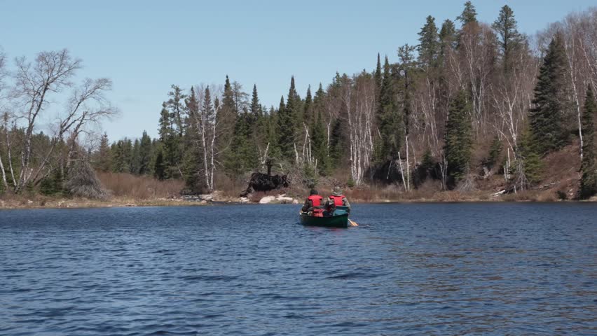 A calm lake with two people paddling a canoe surrounded by mixed forest under a clear blue sky